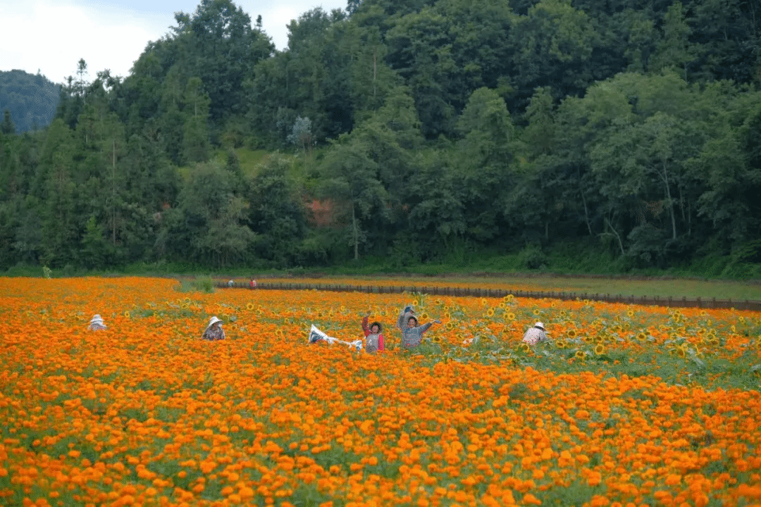利来集团(中国)_来利国际w66旗舰厅