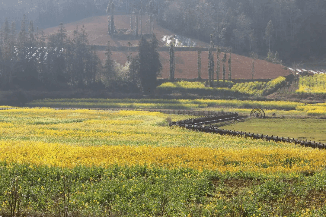 利来集团(中国)_来利国际w66旗舰厅